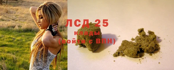 шишки Алзамай
