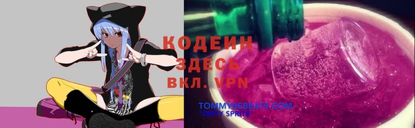 apvp Абаза