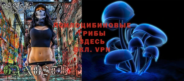 шишки Алзамай