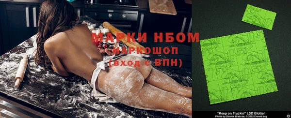 шишки Абинск